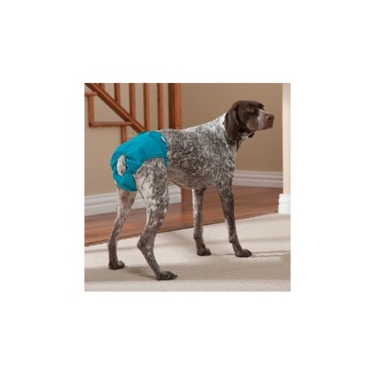 washable-dog-diapers