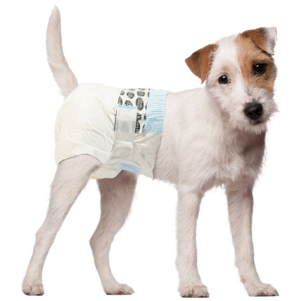 Simple Solution Disposable Diaper for Dogs
