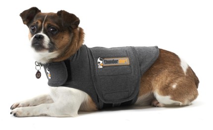 Thundershirt for dog